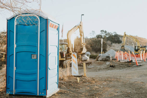 Best Local porta potty services  in The Plains, OH